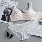IEMUH Sexy Bikinis Solid Push Up Bikini 2019 Hot Sale Padded Bra Straps Mid Waist Swimsuit Swimwear Women lace Biquini